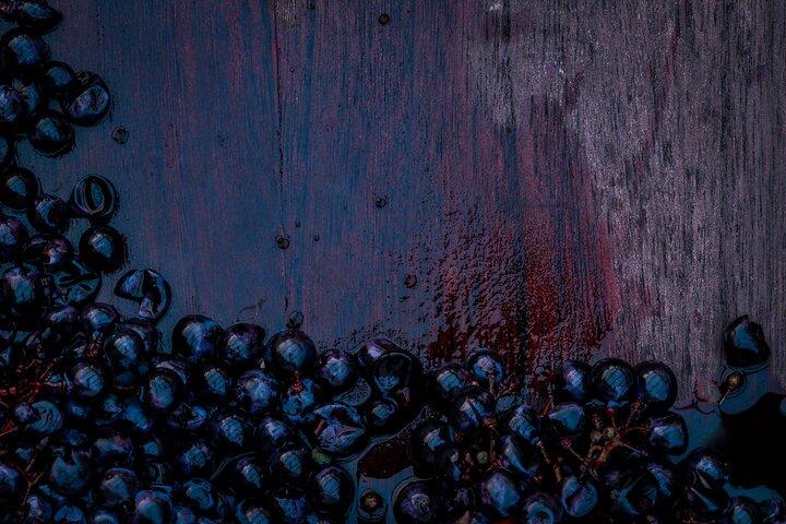 Willamette Wine Tour from Newberg